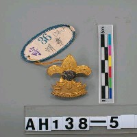 藏品(帽章)的圖片